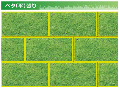 Turf 株式会社大隅芝園